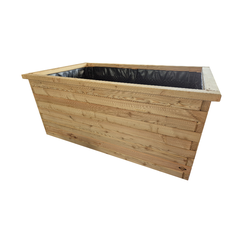 Modřín evropský MASIV výška 35 cm